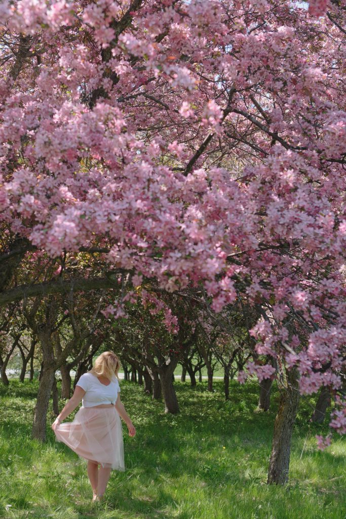 Chantal 5 Ottawa Fashion Blog Curvy Plus-Size photos lincoln fields cherry blossom pink trees