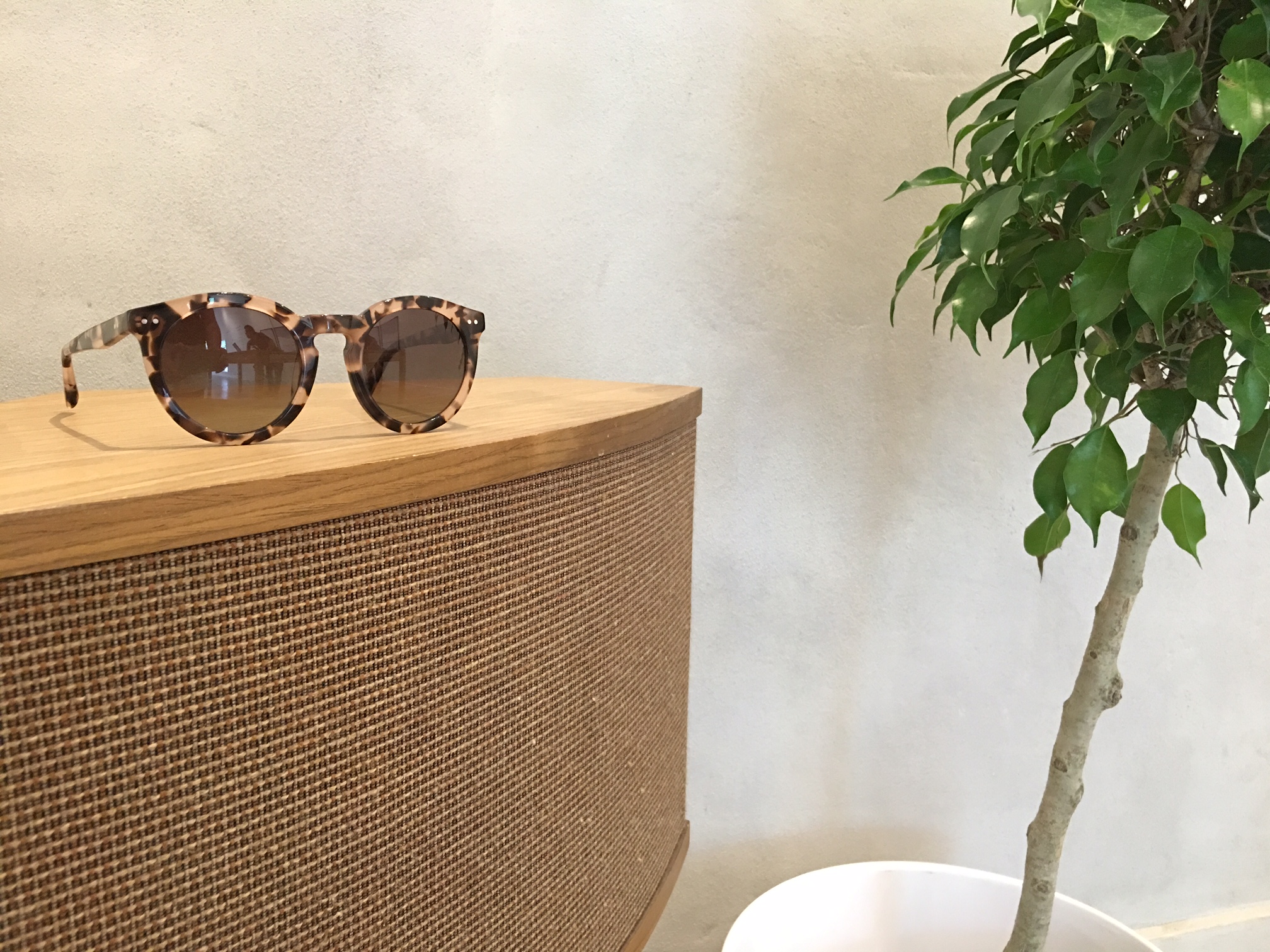 Bailey Nelson Ottawa new eyewear and sunglasses store in