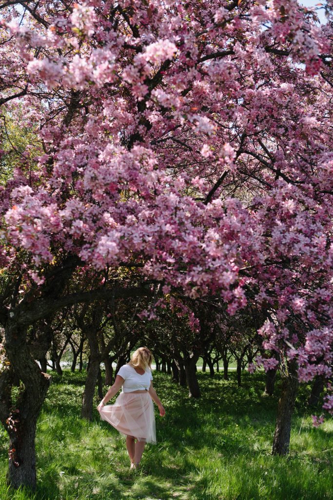 Chantal 4 Ottawa Fashion Blogger Curvy Plus-Size photos lincoln fields cherry blossom pink trees