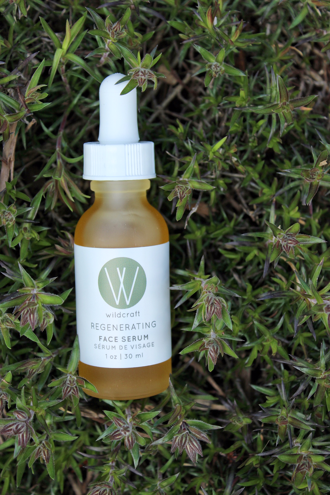 Wildcraft Care a 5day natural skincare challenge • modexlusive